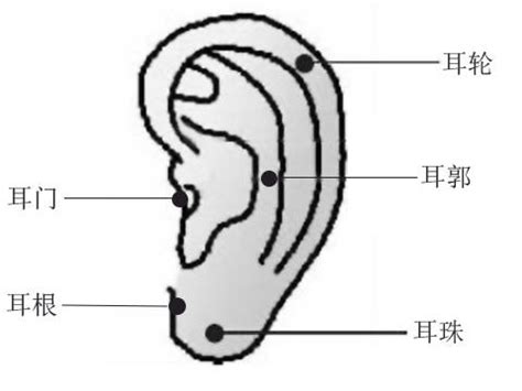 耳朵有痣的人|耳朵痣的位置与命运图解大全